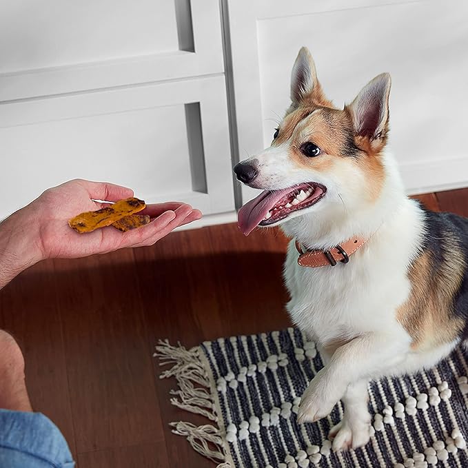 Rachael Ray Nutrish Turkey Bites Real Meat Grain Free Dog Treats, Turkey Recipe with Hickory Smoked Bacon Flavor, 5 Ounces (Pack of 5) Packaging May Vary