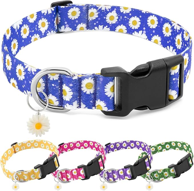BiPawTi Floral Dog Collars for Large Dog - Soft Cute Dog Collars for Girls Dog Pretty Flower Collar with Daisies Charms, Gift for Female Male Boys Girls Dogs (L, Blue)