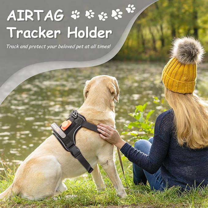 AUROTH Dog Harness Small Sized Dog, Small No Pull Dog Harness, Dog Harness for Small Dogs, Harness Small Size Dog Vest Harness with Handle, Black S