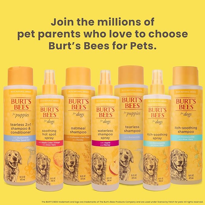 Burt's Bees for Pets Tearless Puppy 2-in-1 Shampoo and Conditioner with Buttermilk and Linseed Oil, 2pk, 95% Natural Origin Formulas, Best Gentle Shampoo for Puppies - Tear Free, 16 oz - 2 Pack