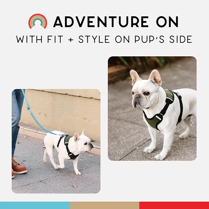 Dog Harness, Puppy Harness, Soft Harness for Dogs, Comfortable Dog Harness, Small Dog Harness, Dog Harness with Padding, Snug Fit Design, 4 Point Adjustable - Wildebeest(XS - 15~20 inch Girth, Olive)