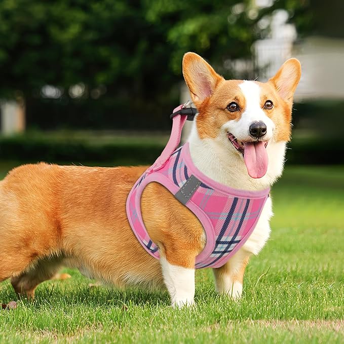 Athena Collection Step-in Dog Harness with 5 ft Leash, Small to Medium Dog Harness Leash Set Medium No Pull Dog Vest Harness with Reflective Strips Adjustable Velcro, Easy Walk Puppy Harness, Pink