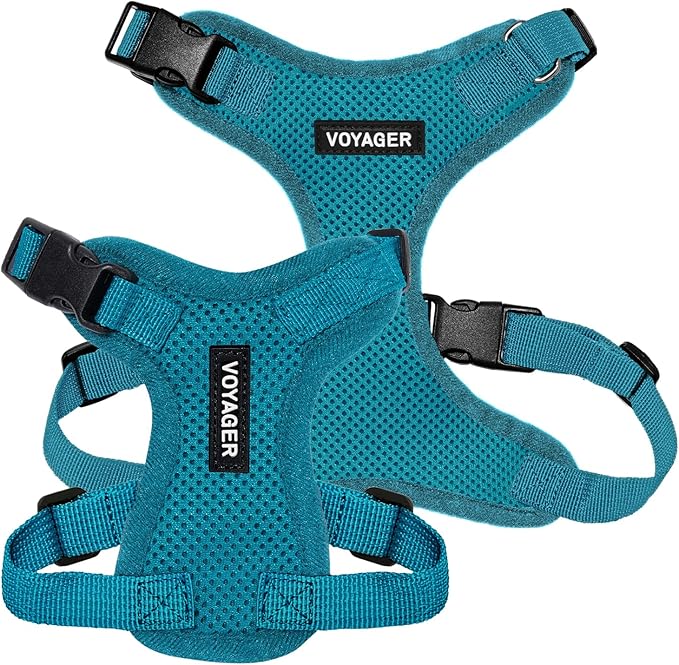 Voyager Step-in Lock Pet Harness - All Weather Mesh, Adjustable Step in Harness for Cats and Dogs by Best Pet Supplies - Turquoise, XL