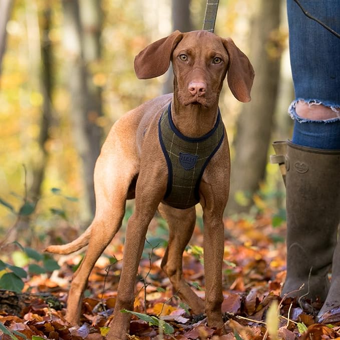 HUGO & HUDSON Dog Harness, No-Pull Anti Choke Tweed Harness Vest, Dark Green Checkered, XS