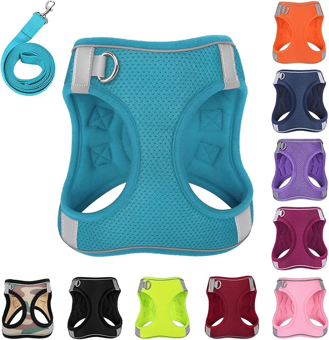 Dog Harness with Leash Set, No-Pull Step-in Reflective Pet Harness with 1 Leash Clips, Adjustable Soft Padded Easy Walk Dog Vest for Small Medium Large Dogs, Cats(Teal, Medium)