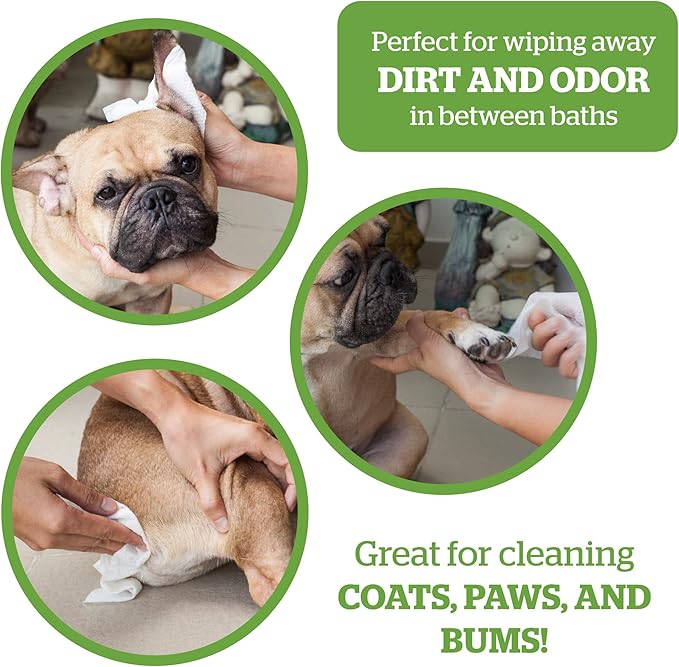 Pogi's Poop n' Wipe Combo - 500 Unscented Dog Poop Bags and 100 Plant-based Grooming Wipes Bundle