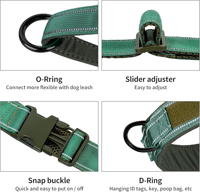 Annchwool No Pull Dog Harness with Padded Handle+5 Ft Leash,Reflective Strip Escape Proof and Quick Fit to Adjust Dog Harness,Easy for Training Walking for Small & Medium and Large Dog(Green-Set,S)