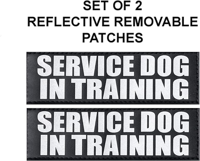 Service Dog in Training mesh Vest Harness Cool Comfort. Purchase Comes with 2 Reflective Service Dog in Training Removable Patches. Please Measure Your Dog Before Ordering