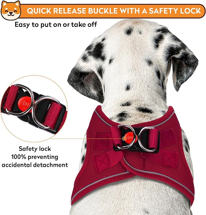 Dog Harness with Leash Set, No-Pull Step-in Reflective Pet Harness with 1 Leash Clips, Adjustable Soft Padded Easy Walk Dog Vest for Small Medium Large Dogs, Cats(Bright Red, XLarge)