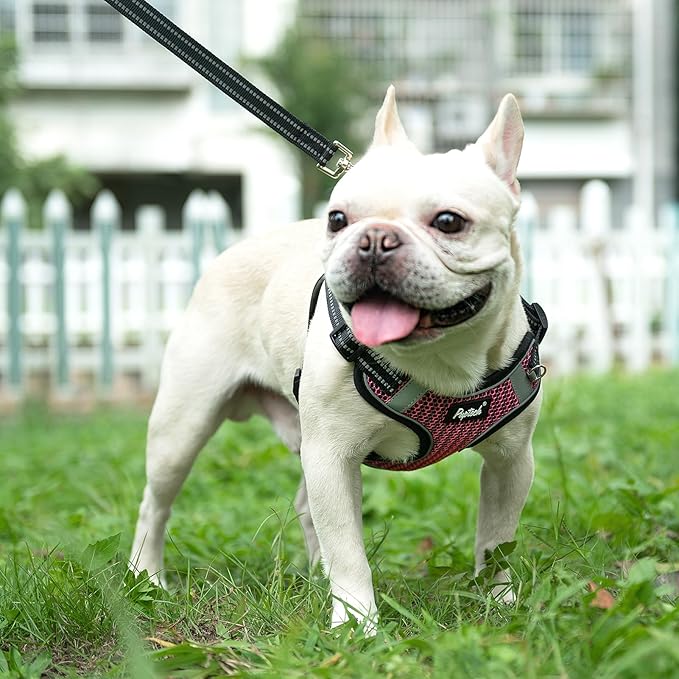 PUPTECK No Pull Dog Harness and Leash Set Reflective No Choke Step in Puppy Halter for XS Small and Medium Sized Dogs, HotPink, Breathable Mesh, L