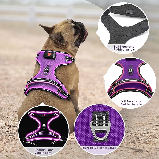 Light Up Dog Harness No Pull LED Dog Harness with Handle Vizbrite Rechargeable Lighted Dog Vest Harness for Small/Medium/Large/X-Large Size Dogs No Pull, 4 Point Adjustable Dog Harness