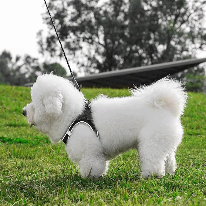 Dog Harness with Leash Set, Adjustable Soft Mesh Padded Reflective Dog Harnesse, Dog Leash with Soft Padded Handle, Puppy Harness and Leash Set for Walking,Training - Black, XS