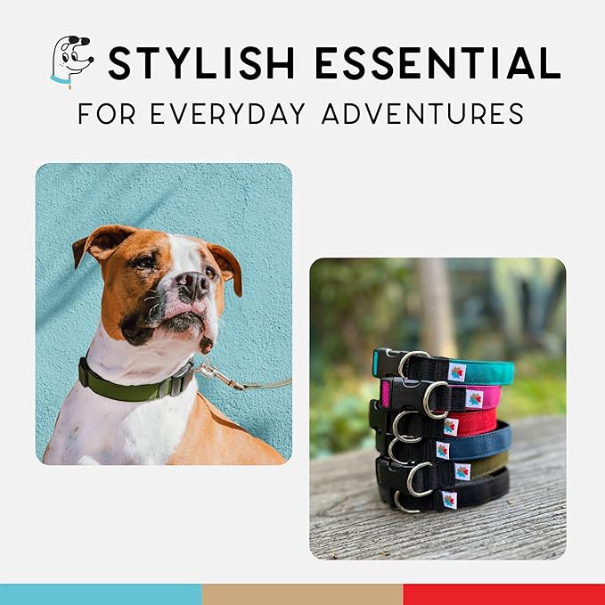 Dog Collar, Lightweight, Heavy Duty Dog Collar with Buckle, Fabric Pet Collar, Breathable & Adjustable Puppy Collar, Dog Collar for Large Dogs (Olive, Large - 14-24 Inch) - Wildebeest