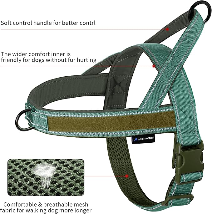 Annchwool No Pull Dog Harness with Padded Handle+5 Ft Leash,Reflective Strip Escape Proof and Quick Fit to Adjust Dog Harness,Easy for Training Walking for Small & Medium and Large Dog(Green-Set,S)
