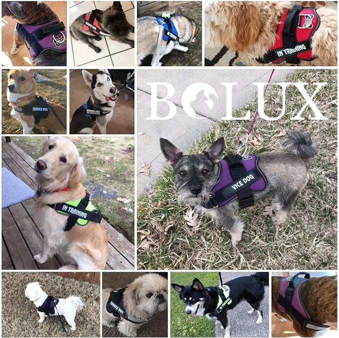 Bolux Dog Harness, No-Pull Reflective Dog Vest, Breathable Adjustable Pet Harness with Handle for Outdoor Walking - No More Pulling, Tugging or Choking (Army Yellow, M)