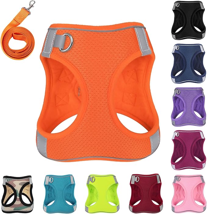 Dog Harness with Leash Set, No-Pull Step-in Reflective Pet Harness with 1 Leash Clips, Adjustable Soft Padded Easy Walk Dog Vest for Small Medium Large Dogs, Cats(Bright Orange, XXSmall)