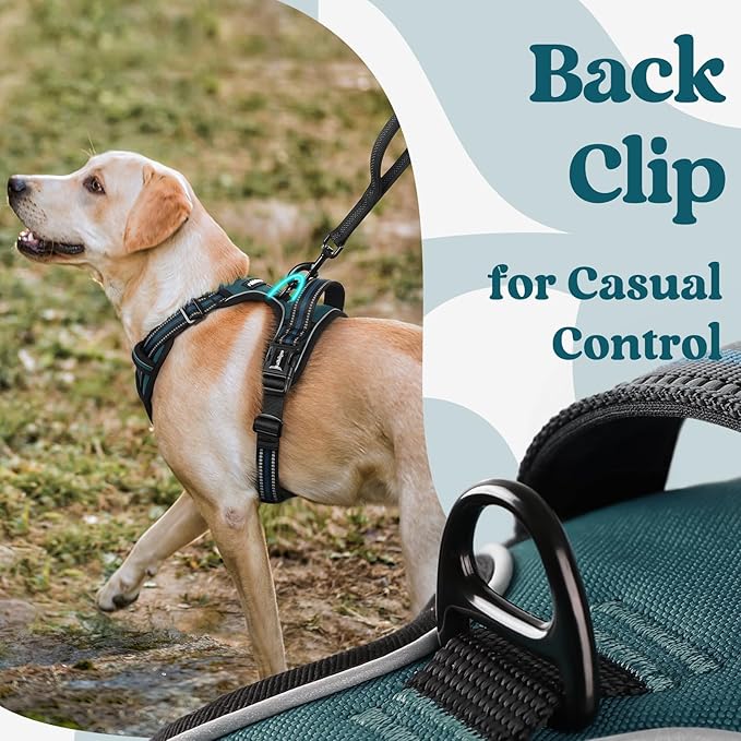 rabbitgoo Dog Harness Medium Sized, No Pull Pet Harness with 3 Buckles, Adjustable Soft Padded Dog Vest with Instant Control Handle, Easy Walking Reflective Pet Vest for Medium Dogs, Blue Coral, M