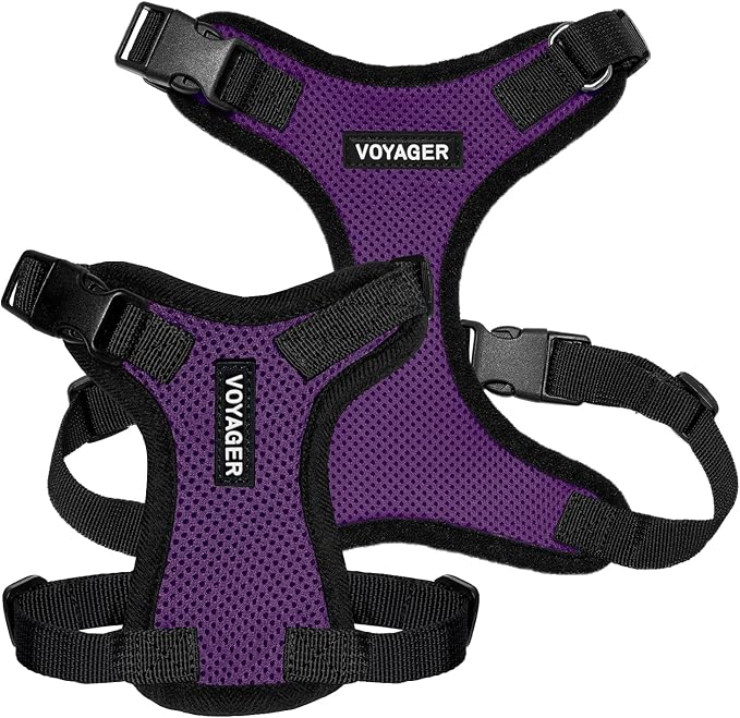 Voyager Step-in Lock Pet Harness - All Weather Mesh, Adjustable Step in Harness for Cats and Dogs by Best Pet Supplies - Purple/Black Trim, S