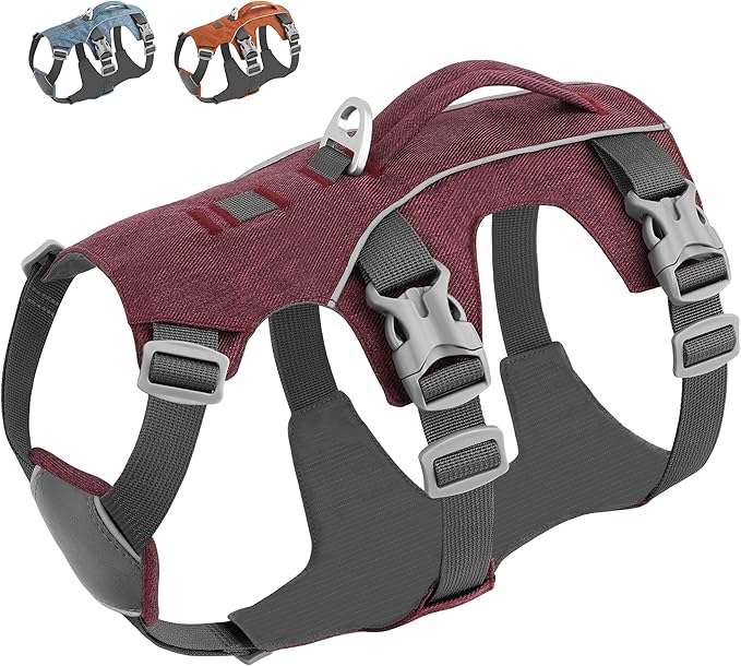 Dog Harness Medium Sized Dog Escape Proof Dog Harness with Handle, Reflective Dog Vest, Breathable Soft Full Body Pet Harness for Walking, Training (Red, M)