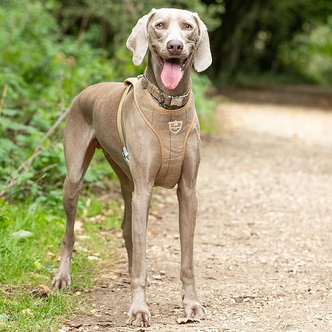 HUGO & HUDSON Dog Harness, No-Pull Anti Choke Tweed Harness Vest, Caramel Checkered Herringbone, L