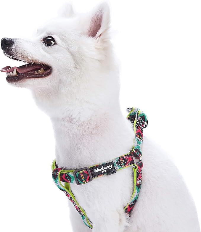 Blueberry Pet 2 Colors Soft & Comfy Step-in Southwestern Vintage Tribal Print Padded Dog Harness, Chest Girth 19.5" - 25.5", Extravagant Green, S/M, Adjustable Harnesses for Dogs