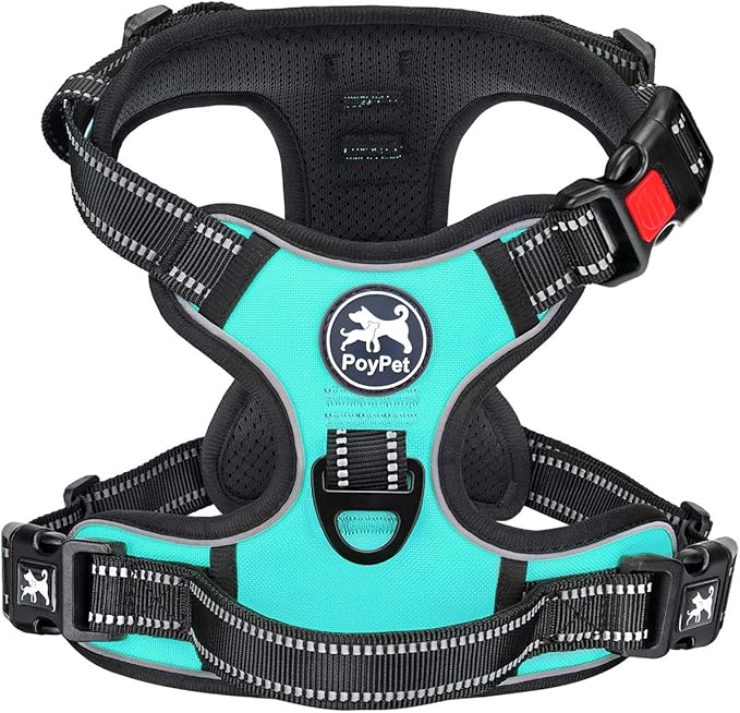 PoyPet No Pull Dog Harness, No Choke Front Clip Dog Reflective Harness, Adjustable Soft Padded Pet Vest with Easy Control Handle for Small to Large Dogs(Mint Blue,L)