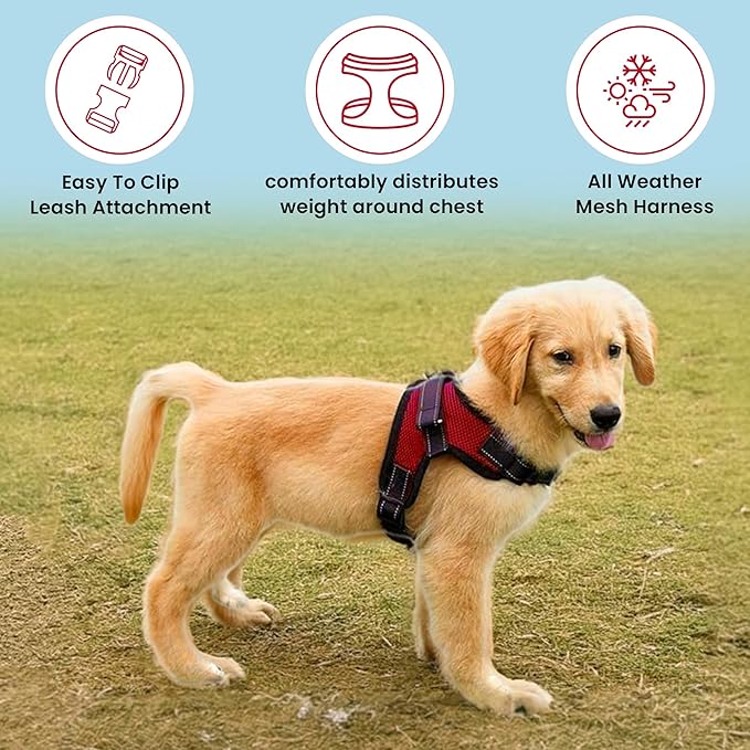 No Pull Reflective Adjustable Dog Harness with Handle- Comfortable Soft All Weather Mesh, Easy On Puppy Harness for Small Medium and Large Dogs (Red) XX-Small