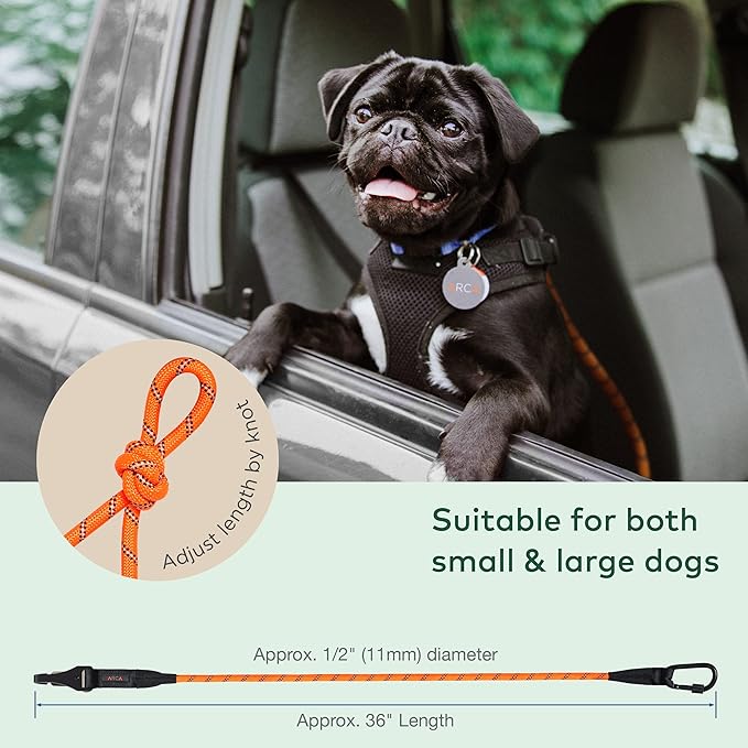 Dog Seat Belt for Car | Universal Dog Car Seatbelt | Durable Reflective Dog Seatbelt with Clip Hook Latch, Buckle and Carabiner- Safe and Secure Pet Safety Restraint for Dog (Orange)
