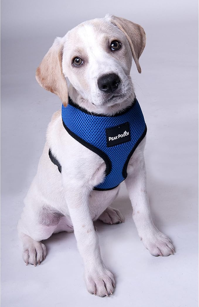 Step in- Dog Harness for Small Dogs No-Pull - Step Instep in Dog Harness - Padded Mesh Fabric Dog Vest - Adjustable Belly Belt & Quick-Snap Clip - Pink - 15 in - Extra Large Dog Harness