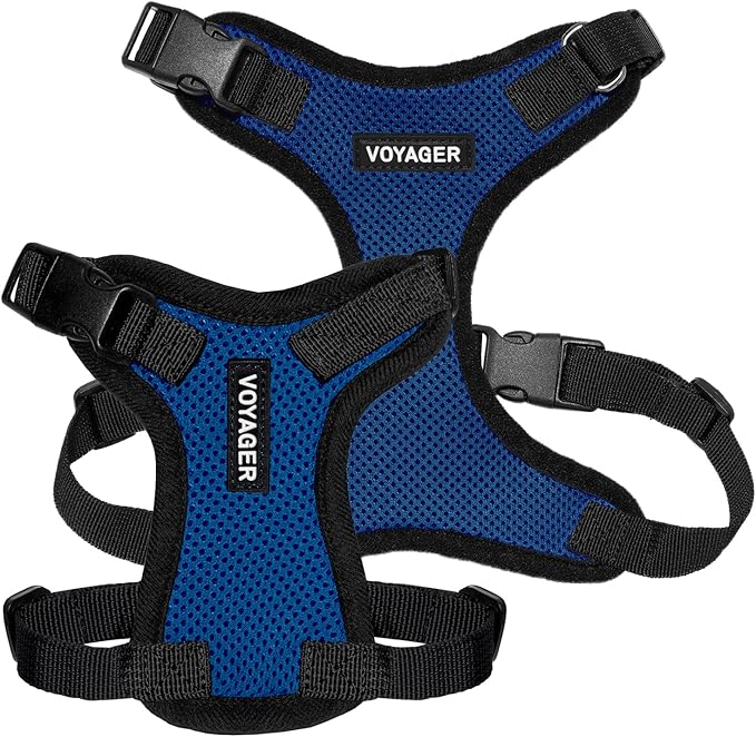 Voyager Step-in Lock Pet Harness - All Weather Mesh, Adjustable Step in Harness for Cats and Dogs by Best Pet Supplies - Royal Blue/Black Trim, XS