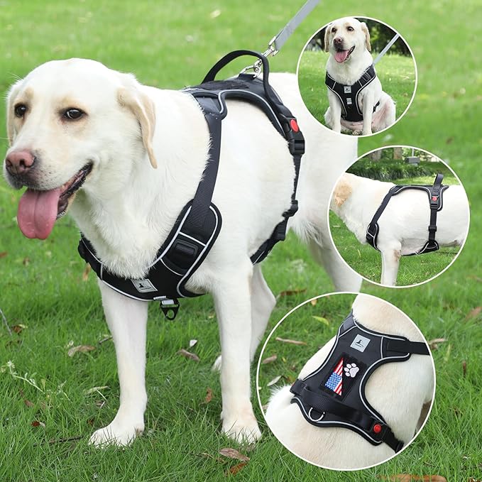 Service Dog Harness, No Pull Pet Harness with 2 Leash Clips, Reflective Adjustable No Choke Dog Vest with 5 PCS Patches,Vest Harness with Easy Control Handle Walking,Hiking,Training