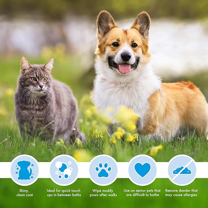 Petkin Mega Valu-Pak Pet Wipes, 500 Total Wipes - Pet Wipes for Dogs and Cats - for Face, Paws, Ears, Body and Eye Area - Super Convenient Dog Cleaning Wipes, Ideal for Home or Travel - Easy to Use