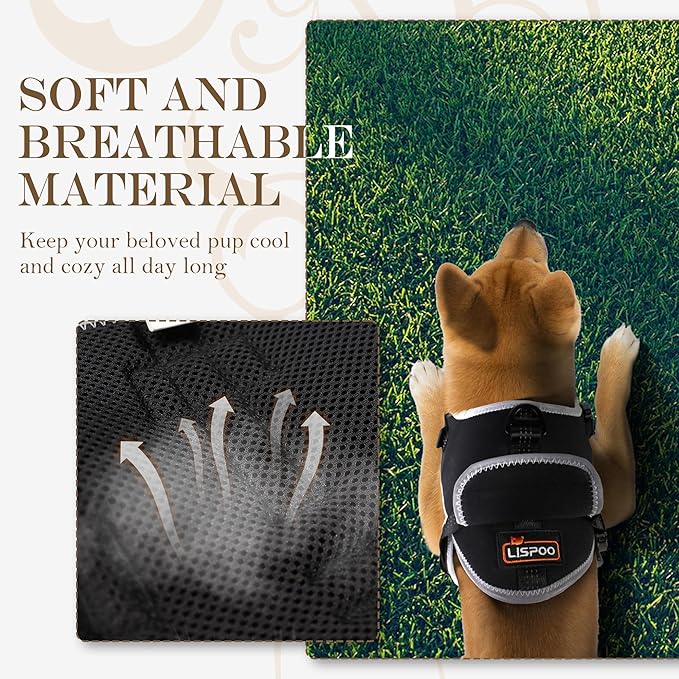 Reflective No Pull Dog Harness for Medium Dogs, Easy Control Dog Vest Harness, Breathable Mesh Harness, Comfortable and Adjustable, Metal Ring and Control Handle, Black M