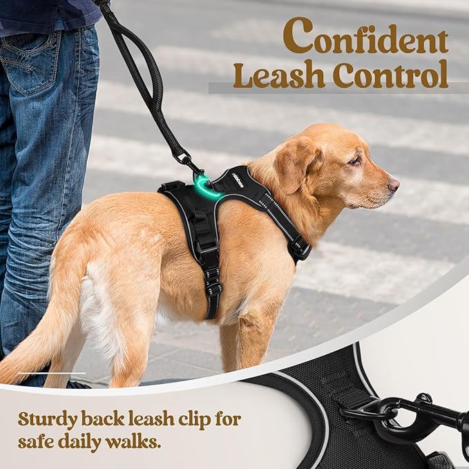 rabbitgoo Dog Harness, No-Pull Pet Harness with 2 Leash Clips, Adjustable Soft Padded Dog Vest, Reflective No-Choke Pet Oxford Vest with Easy Control Handle for Medium Dogs, Black, M