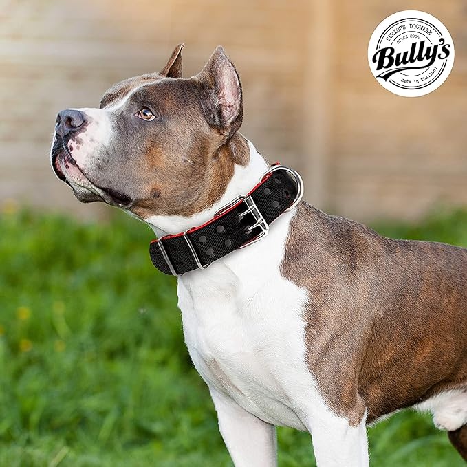 Pit Bull Collar, Dog Collar for Large Dogs, Heavy Duty Nylon, Stainless Steel Hardware (XXXL, Army Green)