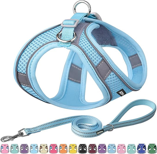 AIITLE Easy Walk Dog Harness and Leash Set - Pet Supply No Pull, Step in Adjustable Dog Harness with Padded Vest for Spring, Dog Harness No Choke Over, Easy to Put on Medium Dogs Pure Blue L