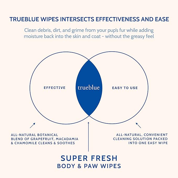 TrueBlue Super Fresh Body and Paw Wipes for Dogs and Puppies - Clean Dirty Paws and for deodorizing - Extra Large, Non-Toxic - 8"x7" - 100 Count