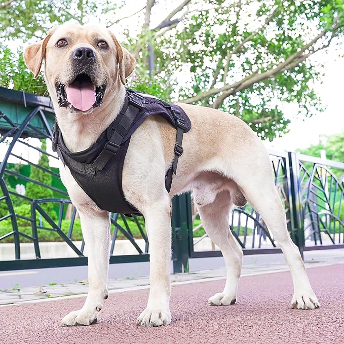 Tactical Dog Harness with All 4 Metal Buckle, Working Dog Vest with Reflective Patch and Reflective Do Not Pet Patch, Dog Vest Harnesses with Handle, Black for Small,Medium, Large Dog, M Size