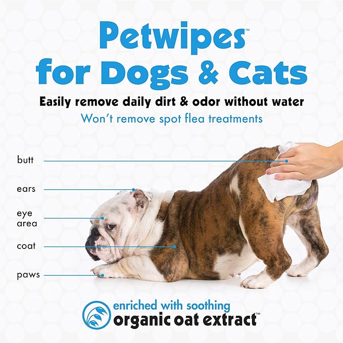Petkin Big N' Thick Petwipes 100 ct