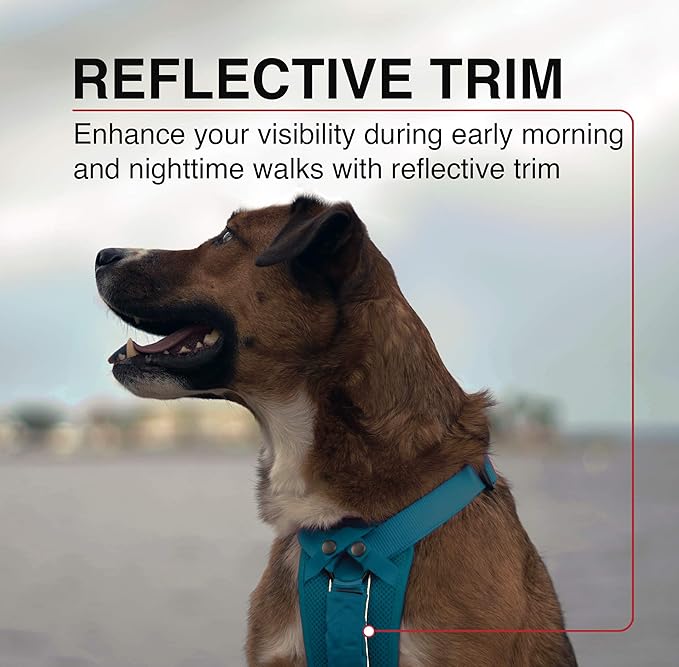 Voyager Freestyle 4-in-1 Dog Harness - Patent Pending Adjustable Webbing Harness with Removable Padding for Small to Large Dogs by Best Pet Supplies - Red, XS