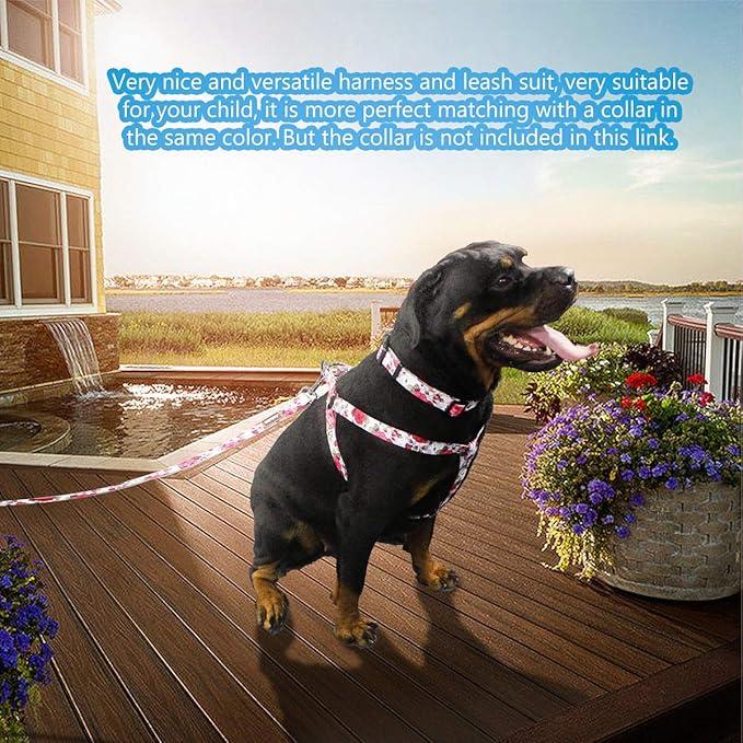 QQPETS Dog Harness Leash Set Adjustable Heavy Duty No Pull Halter Harnesses for Small Medium Large Breed Dogs Back Clip Anti-Twist Perfect for Walking (M(19"-26" Chest Girth), Rose)