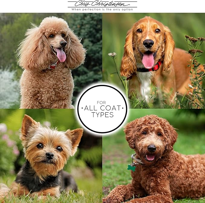 Chris Christensen Spectrum One Ultra Concentrated Dog Conditioner, Makes up to 8 Bottles, Groom Like a Professional, Maintains Inner Cortex Hydration, Coarse and Rough Coat, Made in The USA, 1gal