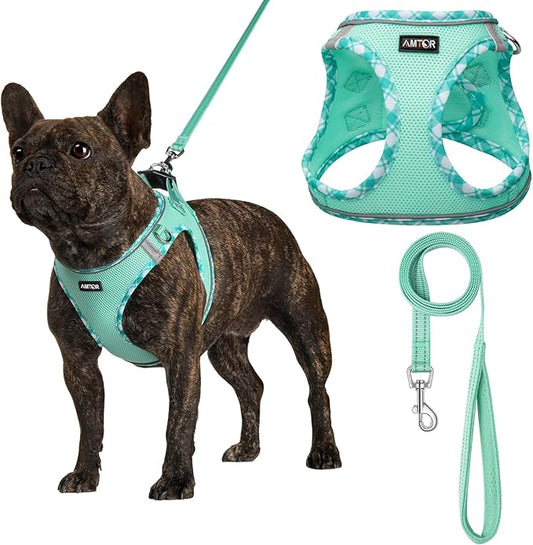 AMTOR Small Dog Harness with Leash Set, No Escape Easy Walk Puppy Harnesses for Training Walking, Step-in Reflective Soft Dogs Vest for XS S Medium Extra-Small Large Sized Dog(Green,XS)
