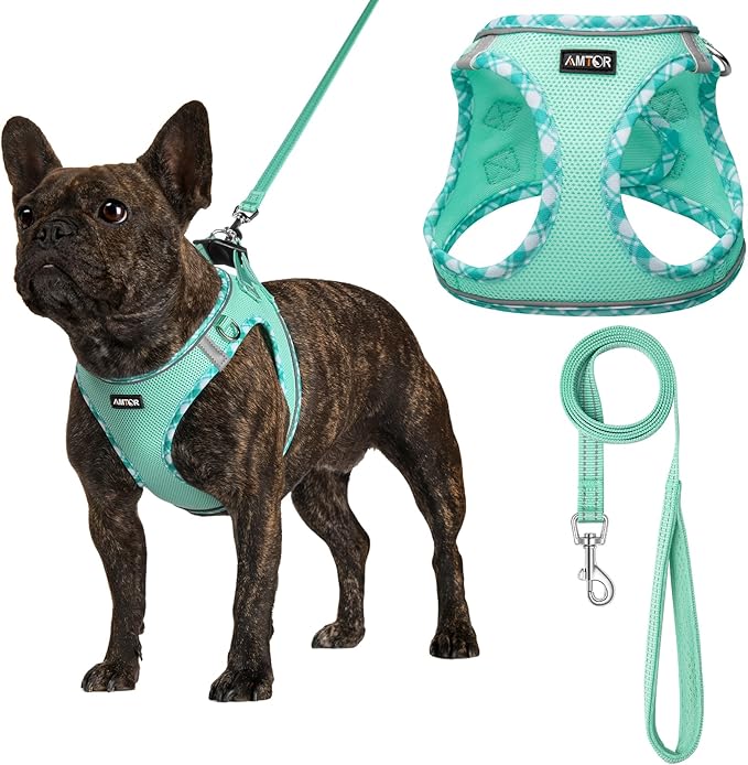 AMTOR Small Dog Harness with Leash Set, No Escape Easy Walk Puppy Harnesses for Training Walking, Step-in Reflective Soft Dogs Vest for XS S Medium Extra-Small Large Sized Dog(Green,XXS)