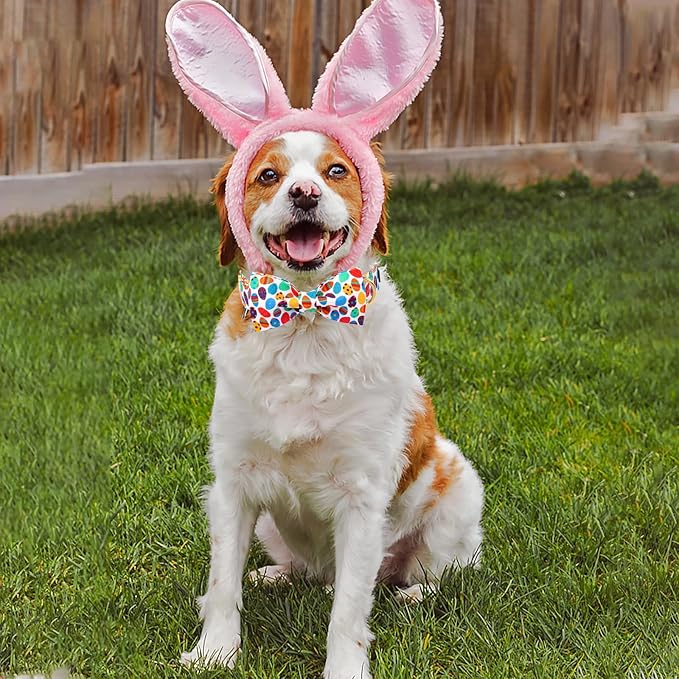 Unique Style Paws Easter Day Dog Collar with Bow Colorful Egg Rabbit Dog Collar Bowtie Bowtie Collar for Large Medium Small Dogs