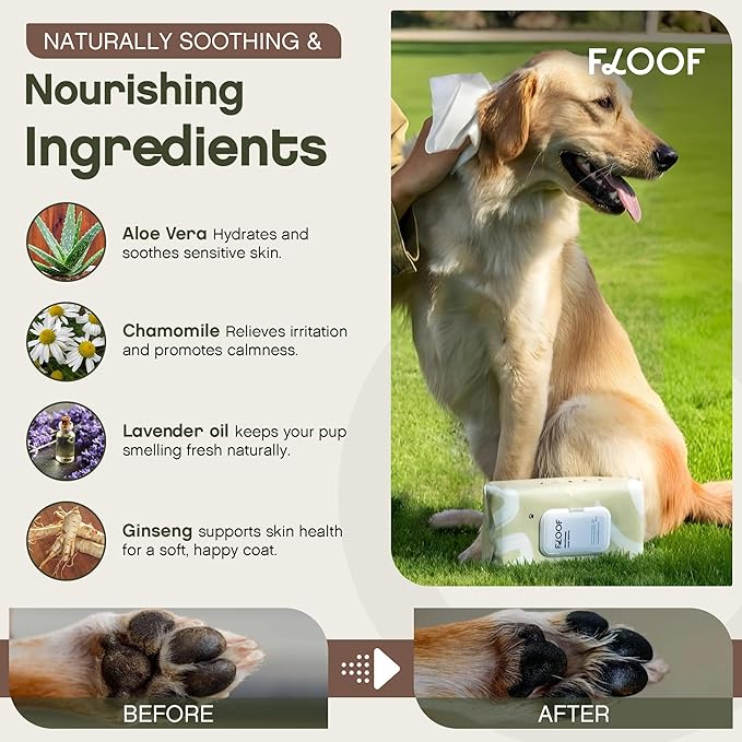 Floof Hypoallergenic Dog Wipes – Natural Aloe Grooming Wipes for Paws Face Ears Eyes & Bum – Vet-Formulated Extra Thick Safe for Puppies & Adult Dogs – 288 Count