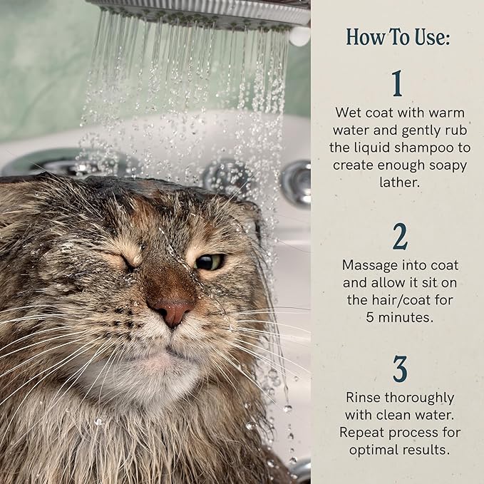 J·R·LIGGETT'S Cat Liquid Shampoo Great for Sensitive Skin | Relieves Dry, Itchy Skin | Hypoallergenic Formula | 100% Detergent-Free and Clear Shampoo, 100% Ecologically Correct, Non-GMO, 8.45 oz.