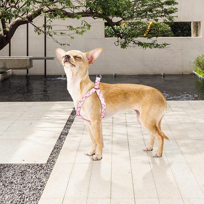 QQPETS Dog Harness Leash Set Adjustable Heavy Duty No Pull Halter Harnesses for Small Medium Large Breed Dogs Back Clip Anti-Twist Perfect for Walking (M(19"-26" Chest Girth), Sakura Pink)