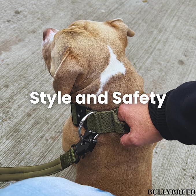 BULLYBREED Premium Dog Colar with Handle, Heavy Duty Dog Collar, Tactical Dog Collar, Quick-Release Metal Buckle, Thick Dog Collar, Dog Collar for Medium Dogs, Dog Collar for Large Dogs (Brown, M)