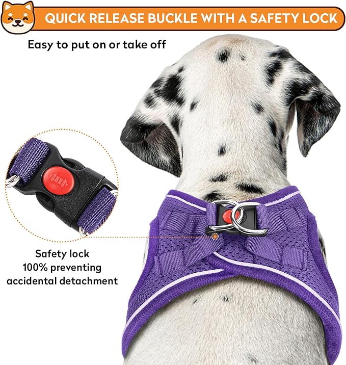Dog Harness with Leash Set, No-Pull Step-in Reflective Pet Harness with 1 Leash Clips, Adjustable Soft Padded Easy Walk Dog Vest for Small Medium Large Dogs, Cats(Light Purple, XXSmall)